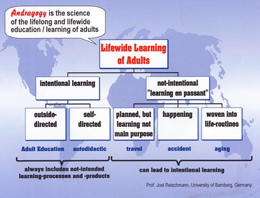 Structure of Lifewide Learning of Adults